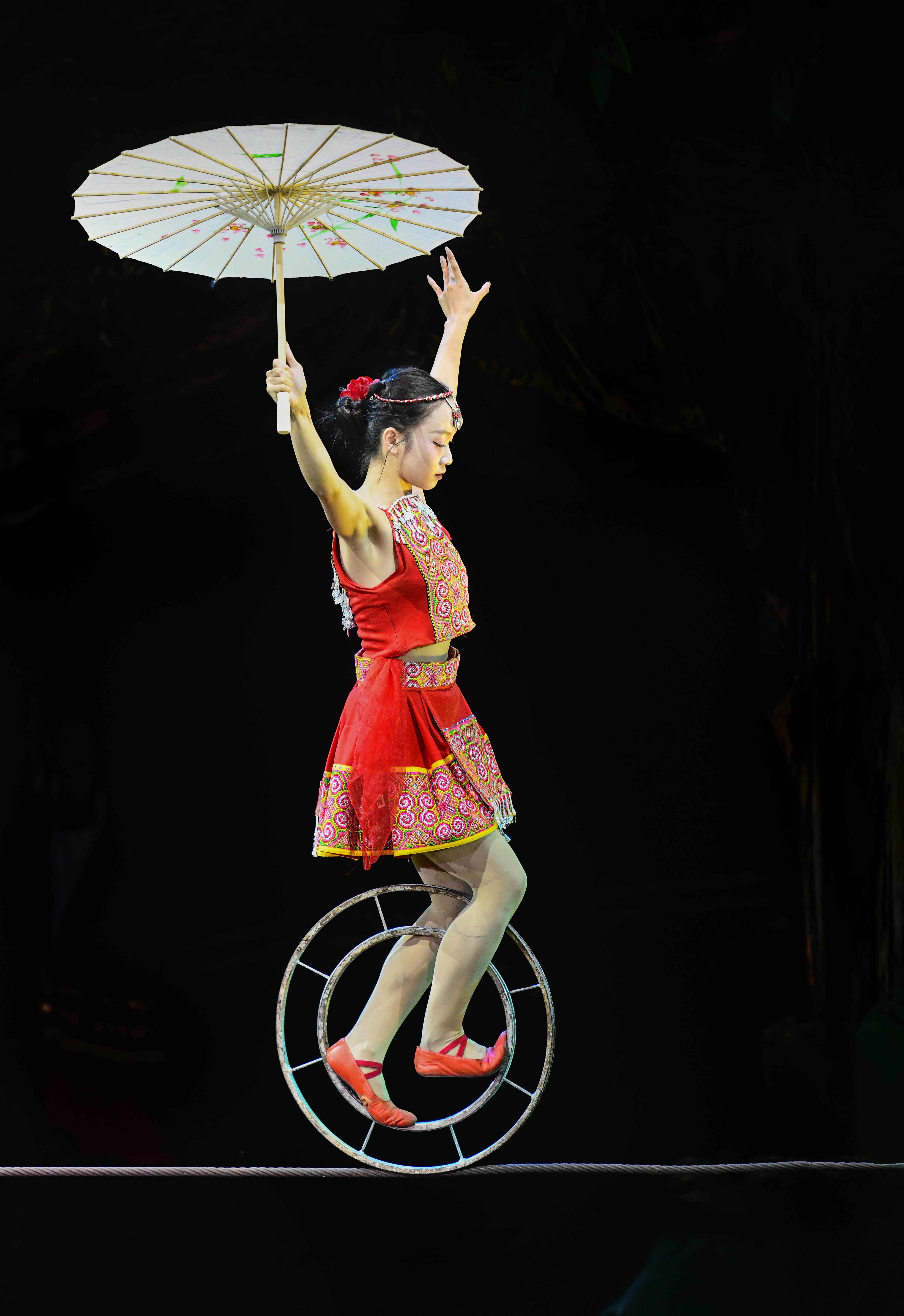 Nhiếp ảnh Xiếc Việt Nam